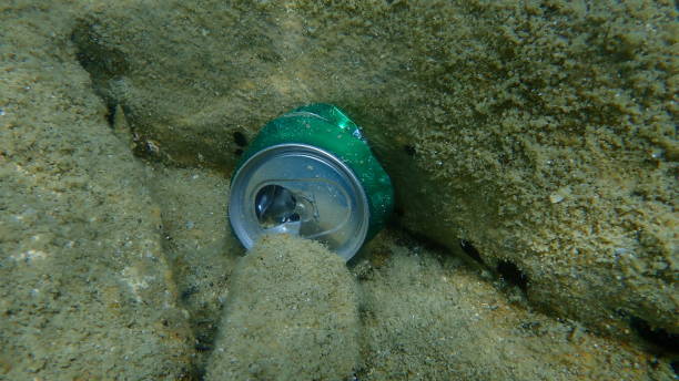 istock Garbage on the sea bottom: used aluminum can (aluminium can) 1349468780