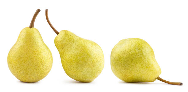 istock Collection of tasty pears on white 1349473581