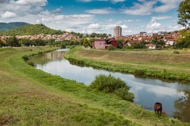 rural town landscape in serbia - serbia horse nature landscape imagens e fotografias de stock