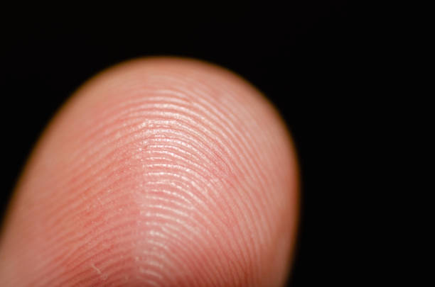 istock Fingerprint - closeup - macrophotography - background - copy space 1349473754