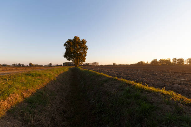 istock Italian country sunset 1349474848