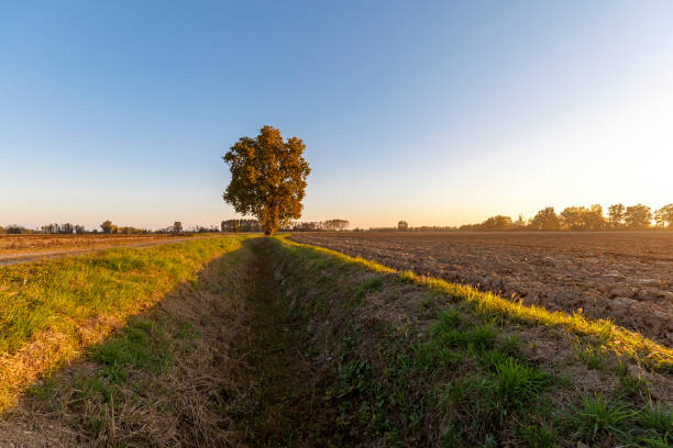 istock Italian country sunset 1349474855