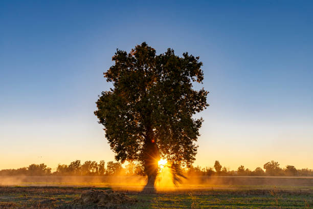 istock Italian country sunset 1349475152