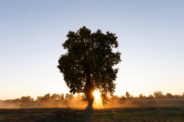 istock Italian country sunset 1349475153