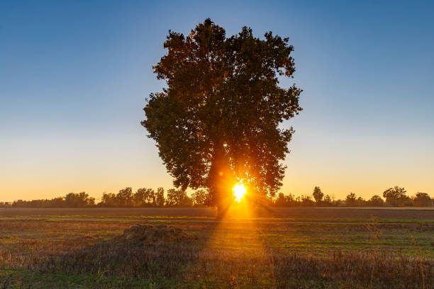 istock Italian country sunset 1349475247