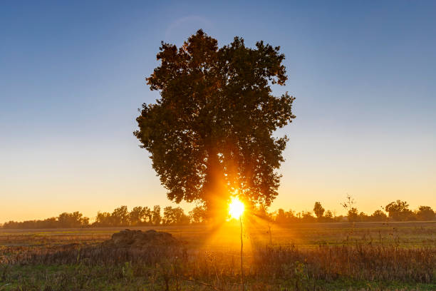 istock Italian country sunset 1349475263