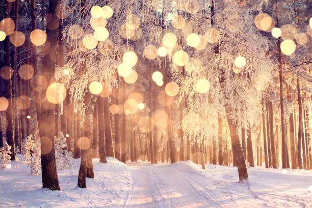 istock Christmas holiday background with color snowflakes 1349475943