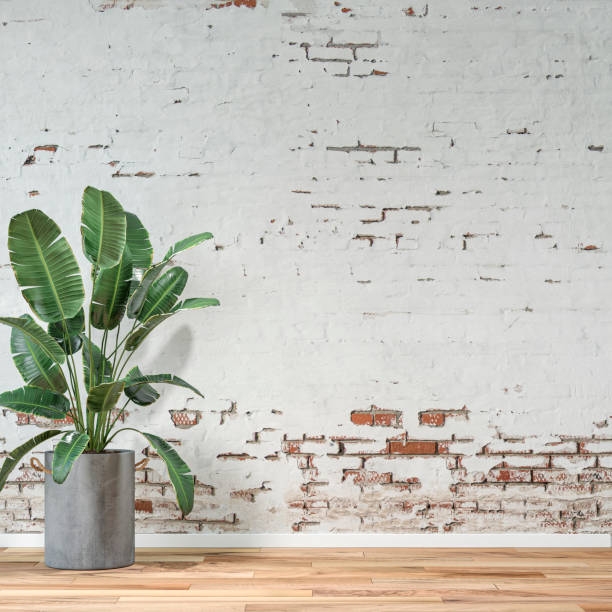 istock Empty unfurnished interior with ruined wall background and potted plant 1349479550