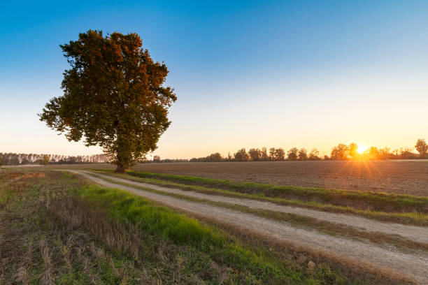 istock Sunset countryside landscape 1349480261