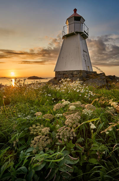 istock Spring flowers blossom around the lighthouse during sunset, Vigra, Norway 1349481184