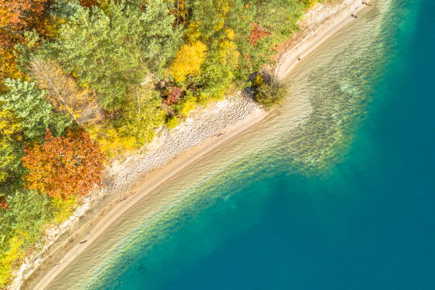istock Aerial view of coastline in mixed autumn forest 1349482978