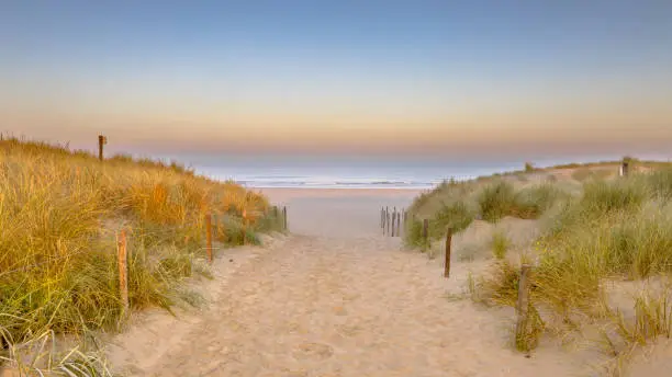 Landscape view of sand dune on the North sea coast at sunset near Wijk aan Zee, Noord Holland Province, the Netherlands. Landscape scene of european nature.