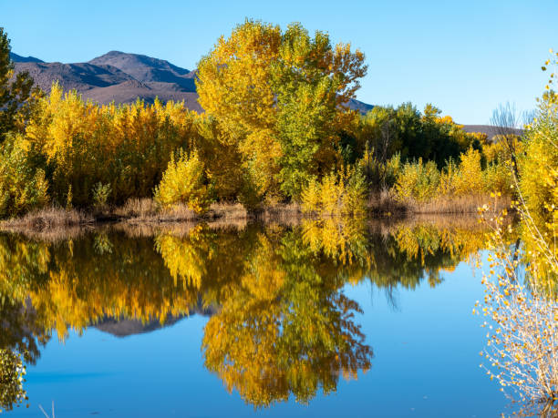 istock Autumn colored trees with reflections in a pond. 1349485531