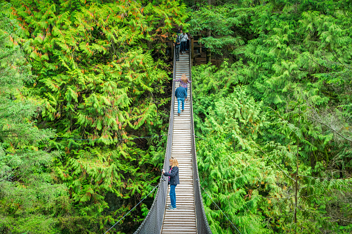 People cross the suspension bridge in Lynn Canyon Park, North Vancouver, British Columbia, Canada on a sunny day.