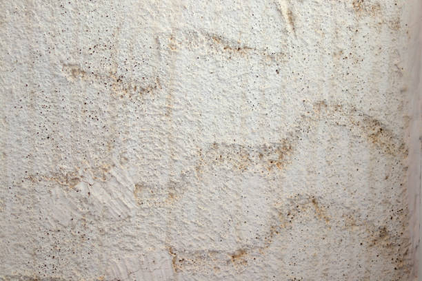 istock plaster texture seamless, speckled Plaster wall texture, Stucco texture or HIGH RESOLUTION TEXTURE Seamless wall Cream color (off white color) paint stucco plaster texture also dasti colour 1349490490