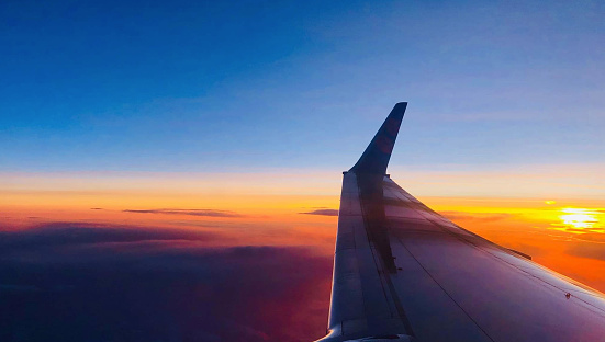 Flight at Sunset