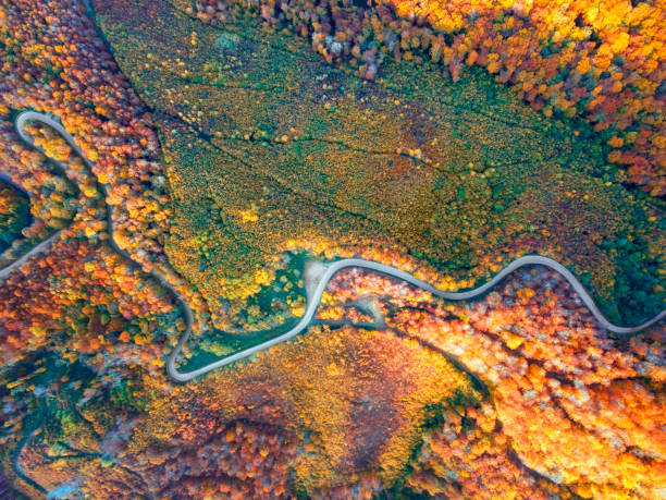istock Autumn colors in the mountains on sunset 1349497828