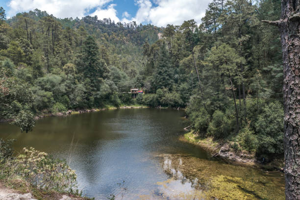istock Zempoala lagoons beautiful landscape background in Mexico 1349502039