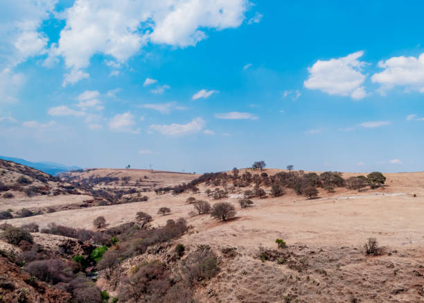 istock Panoramic landscape of Arcos del Sitio, Mexico 1349503221