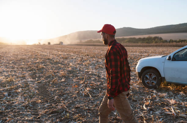 istock Farmer on agriculture field during harvest, manage harvest. 1349504062