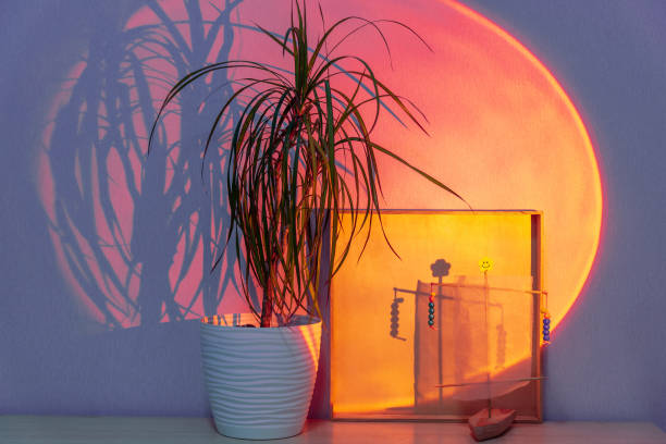 istock Directed spotlight beam illuminates plant against grey wall 1349504084