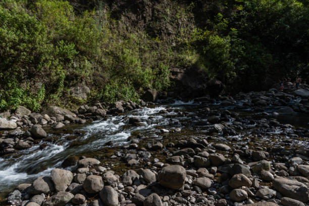 scenic iao stream vista, west maui mountains, hawaii - maui iao valley state park hawaii islands mountain imagens e fotografias de stock