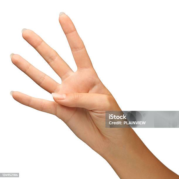 ハンド 4 - 四本指のストックフォトや画像を多数ご用意 - 四本指, 女性, 女性一人