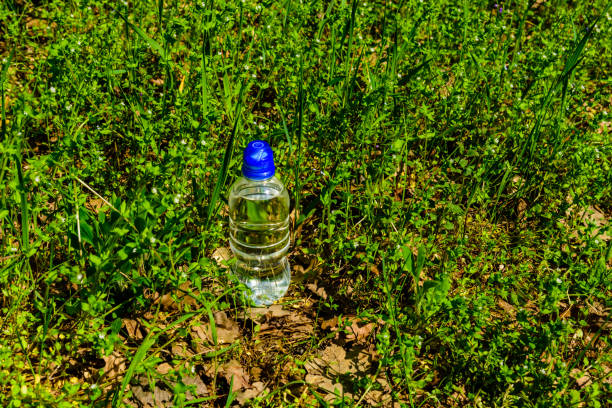 istock Plastic bottle with the clear water in green grass 1349540154