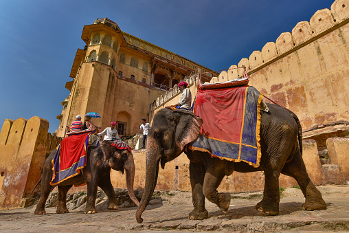 Elephant Riding at Amer Fort, Jaipur, India