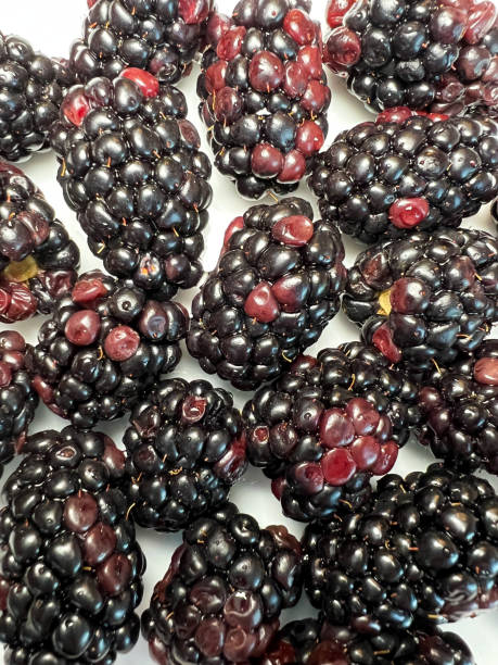 istock Closeup of a plate of blackberries 1349543741