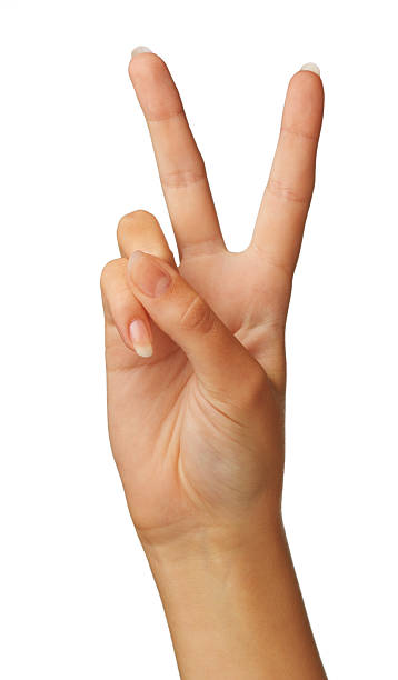 istock Human hand doing peace or victory sign. 134954537
