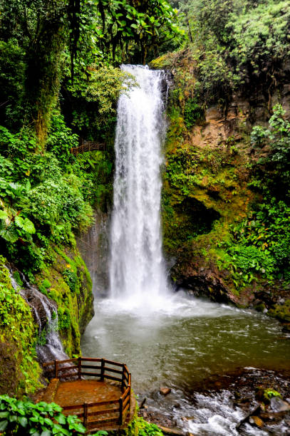 Waterfall in the jungle of Costa Rica stock photo