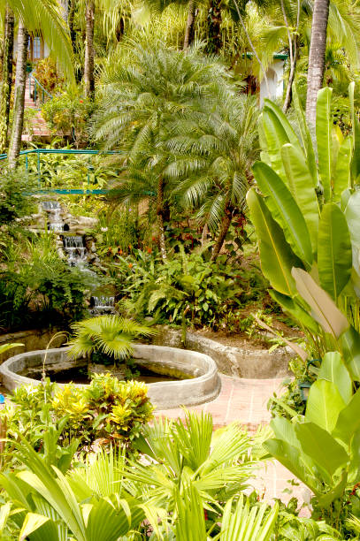 istock Tropical gardens in Costa Rica. 1349550657