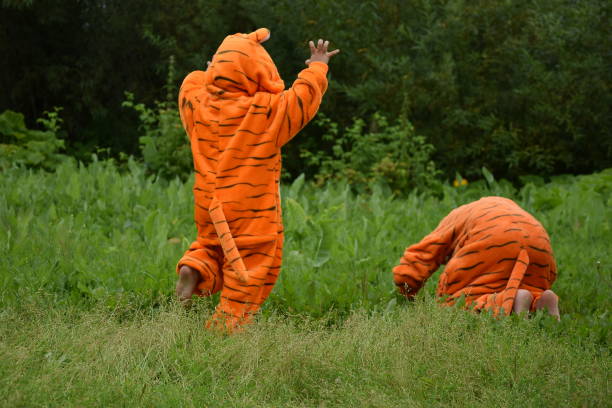 istock tiger cubs play on the lawn in summer 1349559772