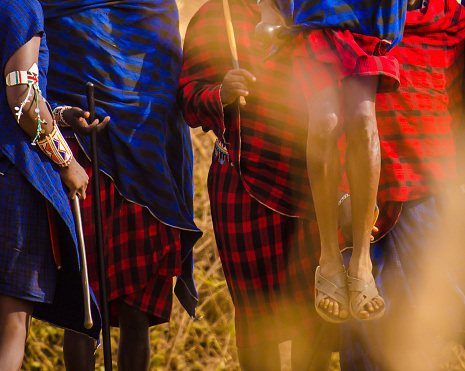 Tribe Masai shows traditional ritual jumps dancing in Maasai Mara National Park, Kenya