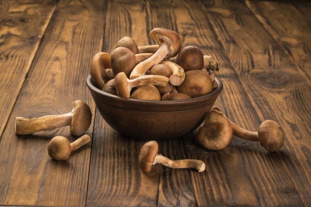 istock A clay bowl and wild mushrooms scattered on the table. 1349564659