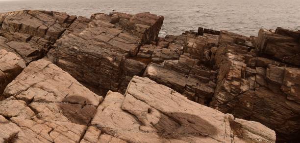 istock Rocky Coastline in Maine 1349572783