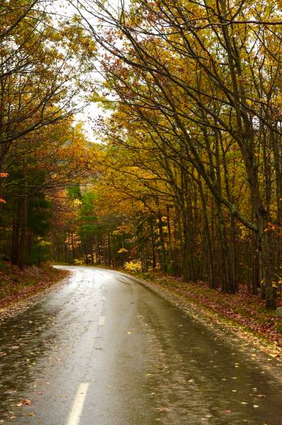 istock Fall Colors in New England 1349575852