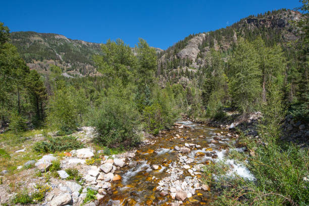 istock Nature of Colorado 1349577909