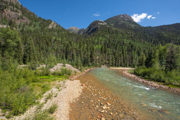istock Nature of Colorado 1349577911