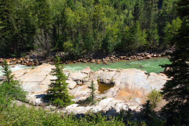 istock Nature of Colorado 1349578421