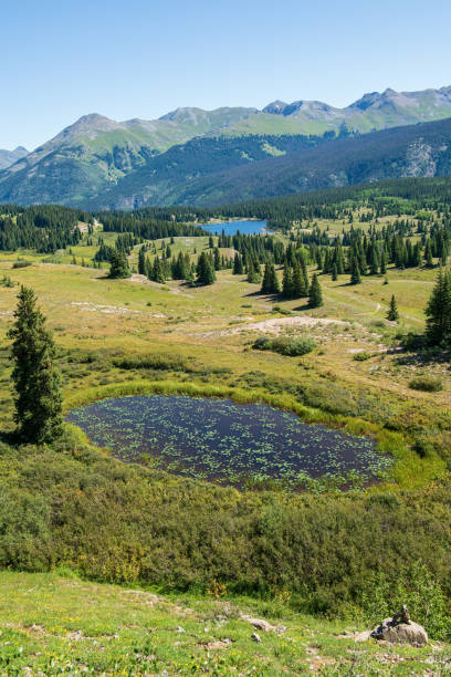 istock Nature of Colorado 1349578770