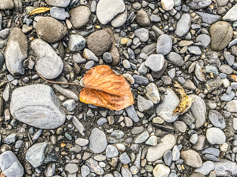 The beauty of a river can be found right at its banks. River rocks produce a variety of colors and textures. These rocks provide a beautiful background.  The vibrant colors offer a stunning portion of all that a river has to offer. A dry leaf sits atop the river rocks creating a background picture.