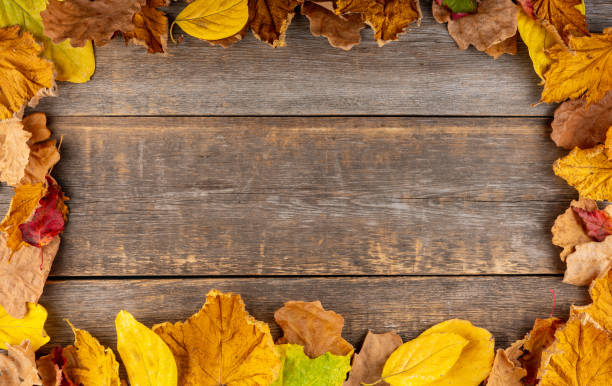 istock Frame background with dry leaves on the rustic background. Shot from above. Selective focus. 1349582420