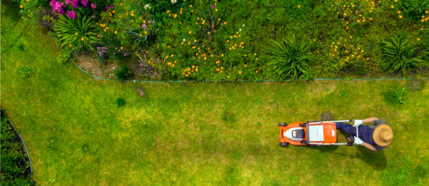 istock A young man is mowing a lawn with a lawn mower. 1349584054