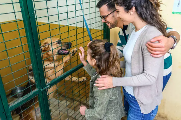 Adoção de animais feliz