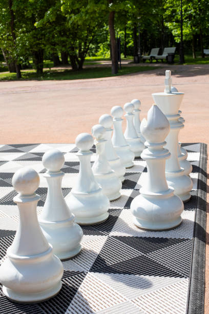 istock Giant chess pieces for outdoor play. White chess pieces on a chessboard 1349592561