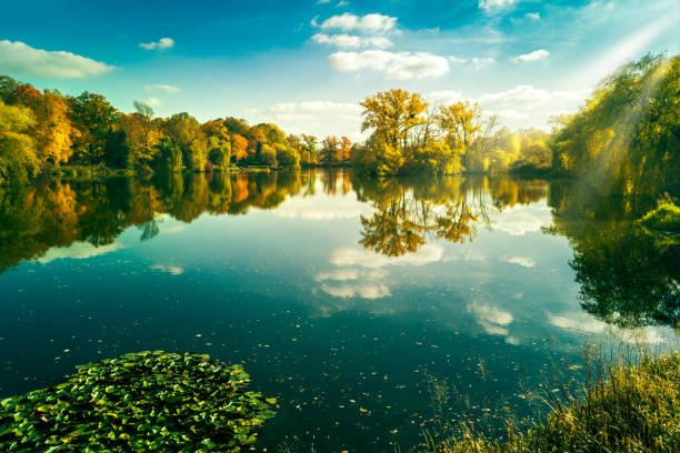 Autumn landscape in the park