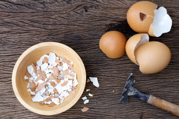 Group of broken egg shells on  wooden background. Secycling kitchen waste for gardening.