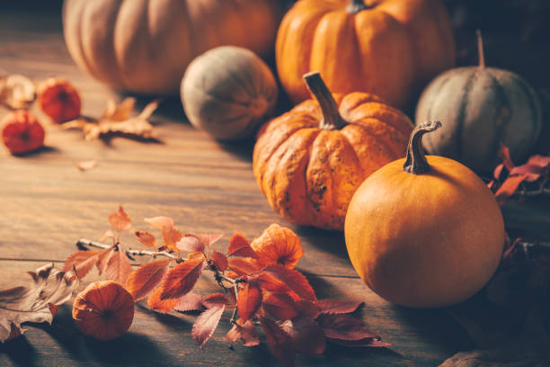 pumpkins for thanksgiving on wooden background - autumn imagens e fotografias de stock